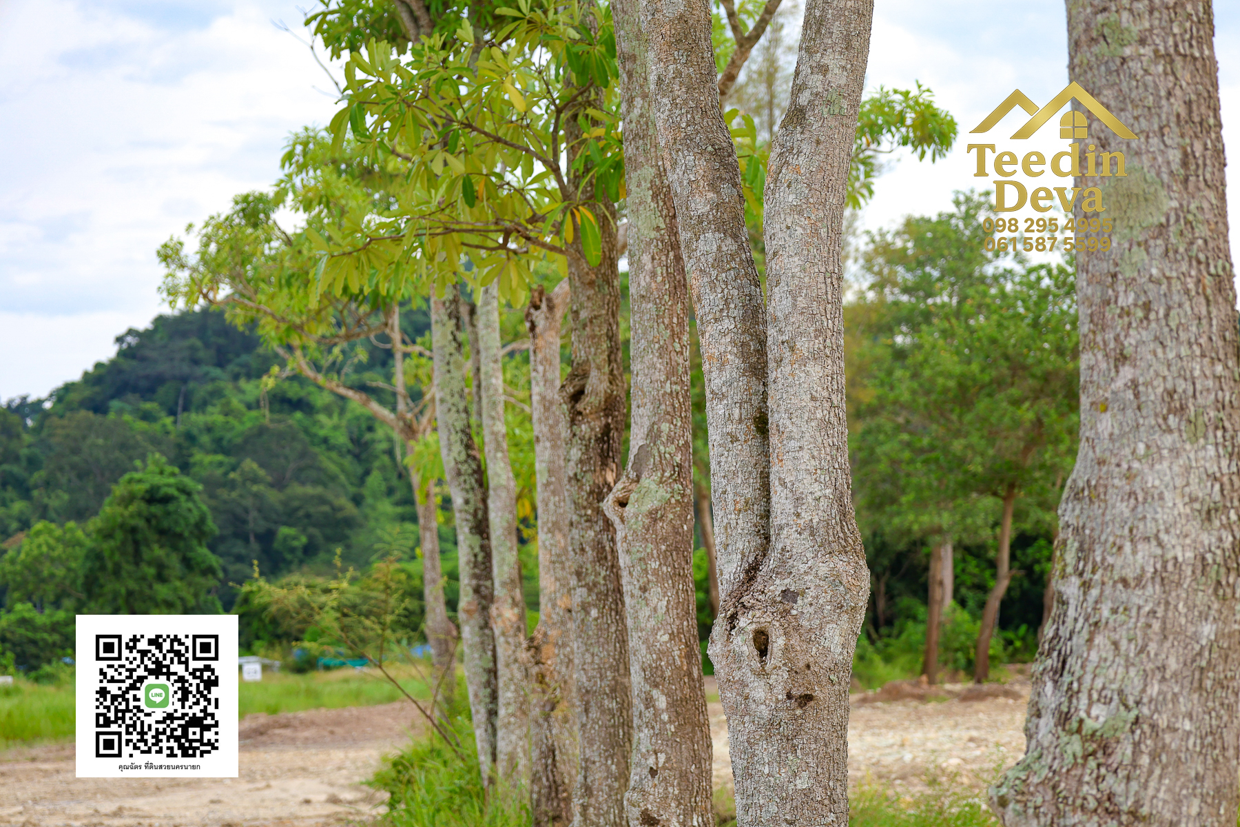 ตื่นเช้ามาพร้อมวิวเขา สูดอากาศบริสุทธิ์ได้ทุกวัน ที่นี่ เนื้อที่ 1 ไร่ ... ต.สาริกา นครนายก