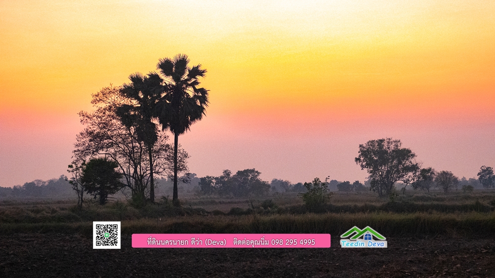 🌿 ที่ดินสวยๆ ขนาด 2 ไร่ พร้อมน้ำไฟ ดินดี น้ำดี อากาศดี มีเพื่อนบ้าน ณ ต.ปากพลี อ.ปากพลี จ.นครนายก