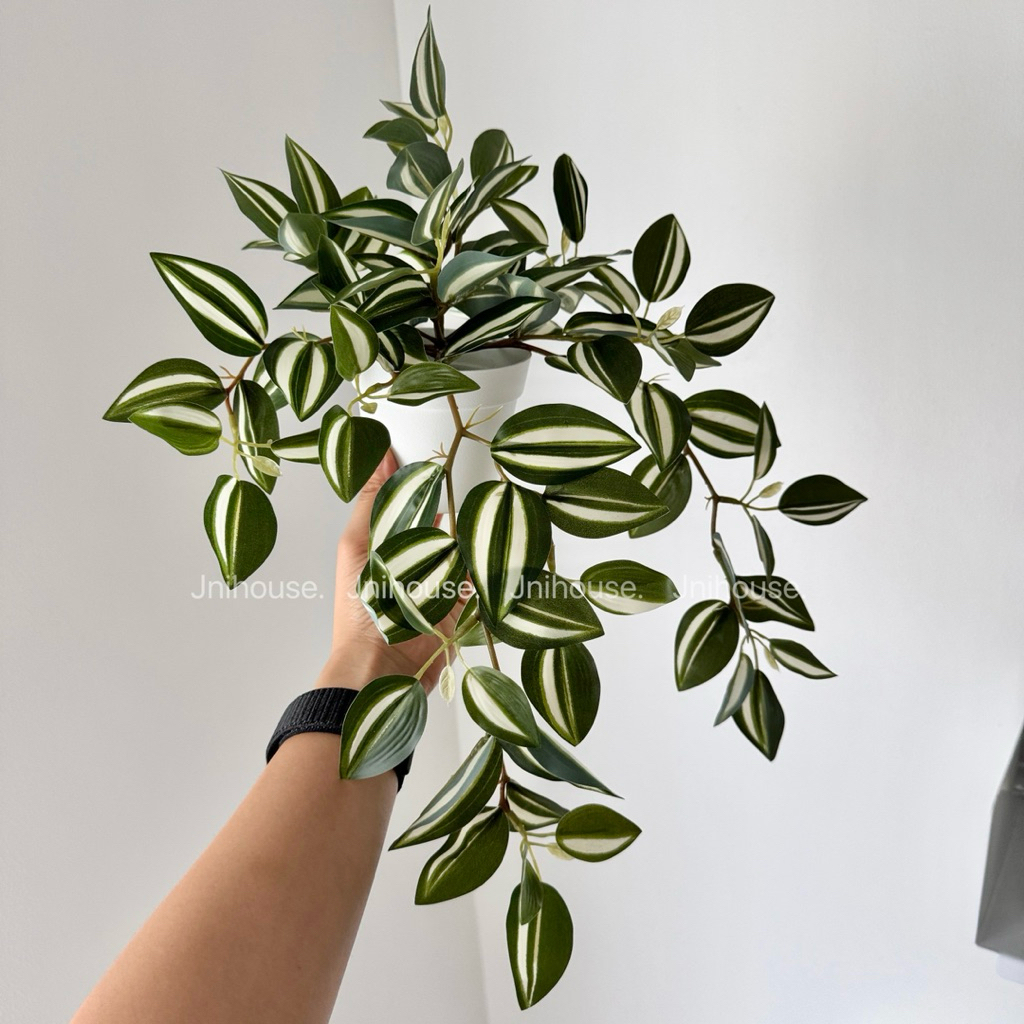 [พร้อมส่ง] Jnihouse : (รุ่นยาว)ต้นก้ามปูด่างประดิษฐ์+กระถางพลาสติกขาว