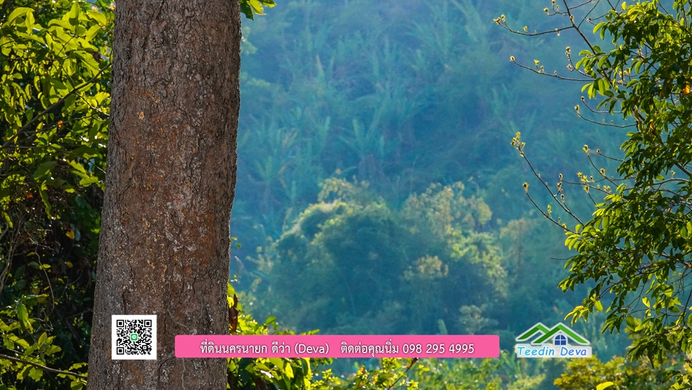 ที่ดินนครนายก วิวเขาพระ เขาใหญ่ ⭐ อยู่ใกล้แหล่งท่องเที่ยว เดินทางสะดวก ต.เขาพระ อ.เมือง จ.นครนายก