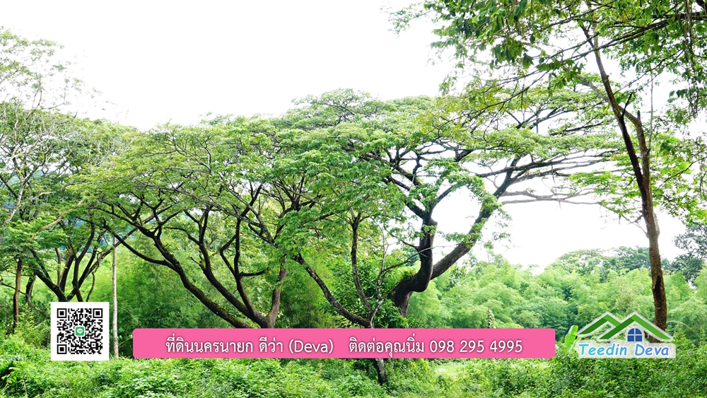 ที่ดินนครนายก ติดลำธารสวยๆ ที่ดินแปลงสวย 6 ไร่ ทำเลดี ในอ้อมกอดของขุนเขา ด้านหลังติดลำธารธรรมชาติ