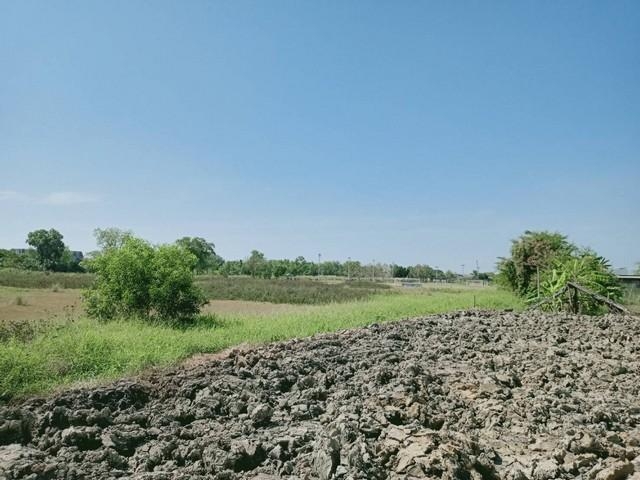 ขายด่วนที่ดินเปล่าถมแล้ว ซ.หทัยราษฎร์46 ขนาด 300 ตร.วา (N.442)