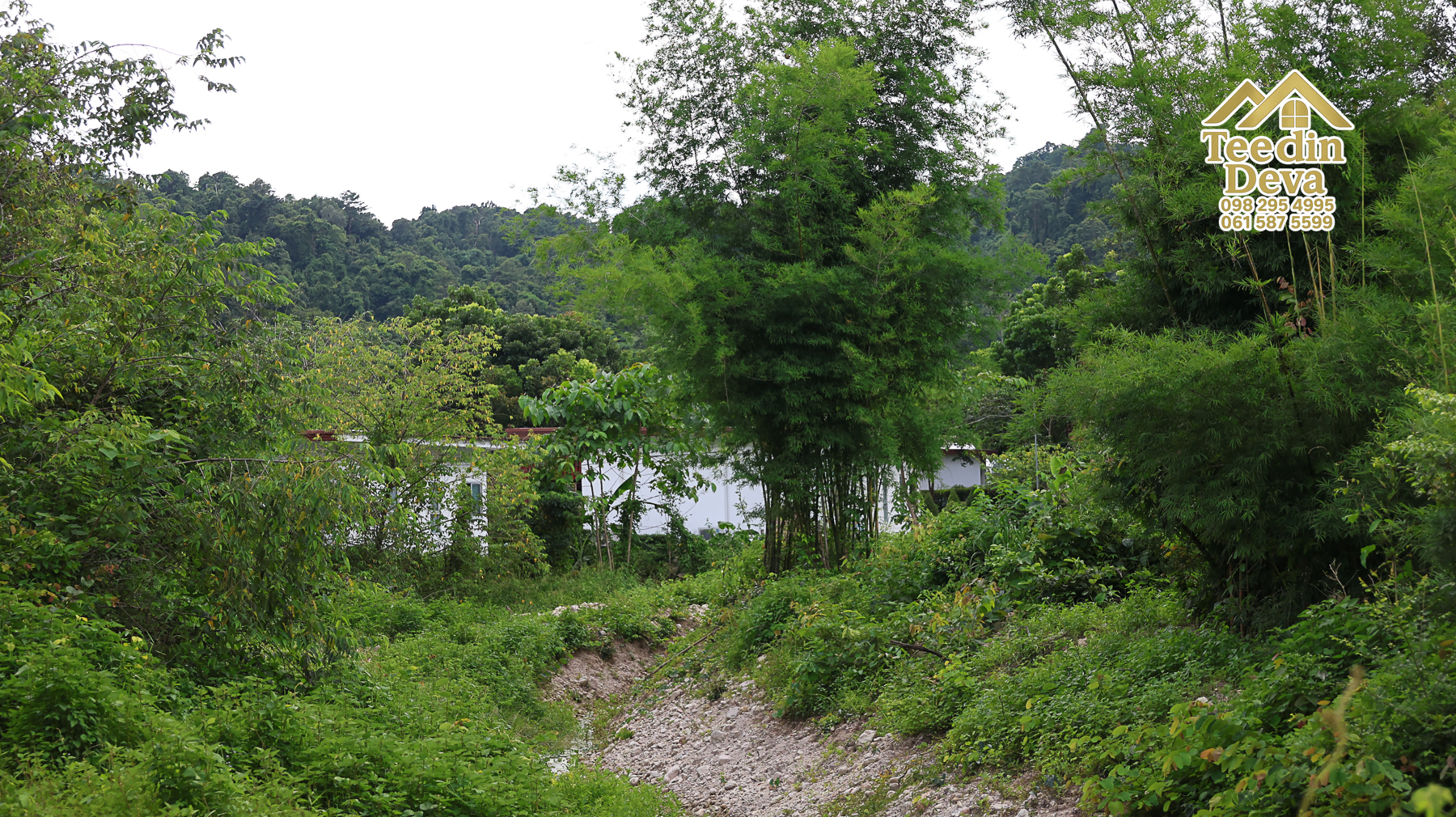 🏞️ “ผืนธรรมชาติกลางหุบเขา” 12 ไร่ 2 งาน 93.3 ตร.วา – ต.สาริกา อ.เมือง จ.นครนายก 🌳