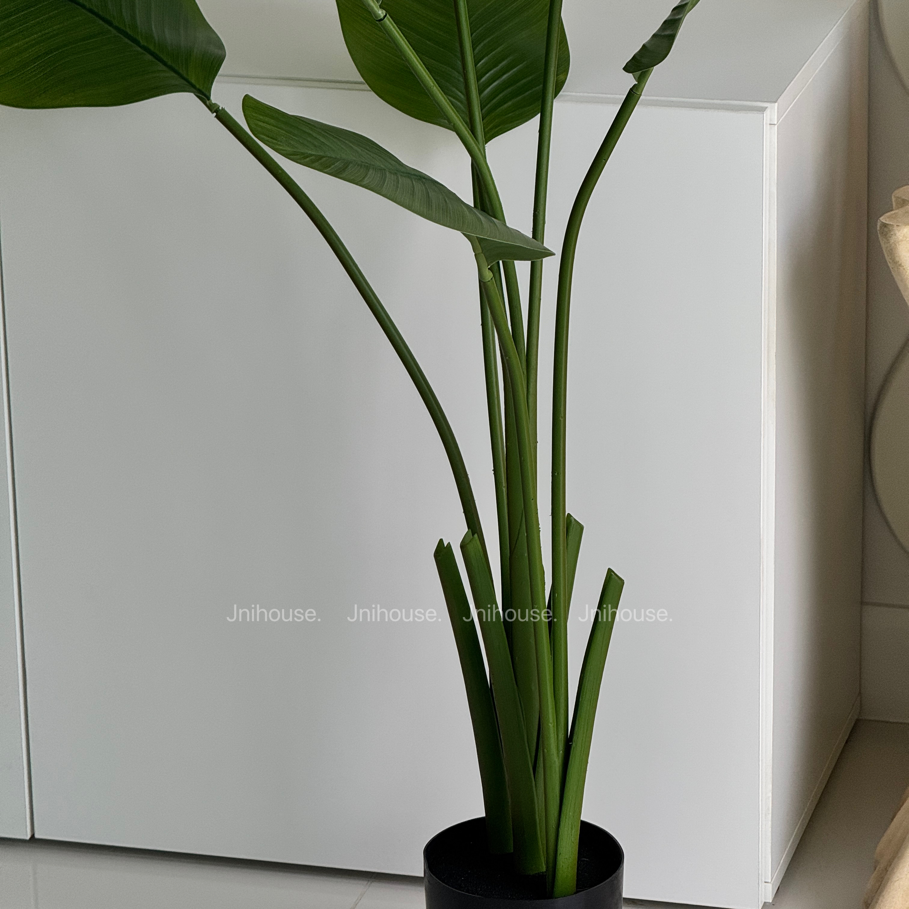 [พร้อมส่ง] Jnihouse : ต้นปักษาสวรรค์ประดิษฐ์ใบนิ่ม สูง 120 cm (Tree)