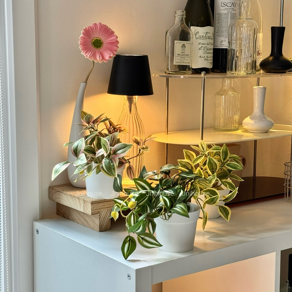 [พร้อมส่ง] Jnihouse : (รุ่นสั้น)ต้นก้ามปูด่างประดิษฐ์+กระถางพลาสติกขาว