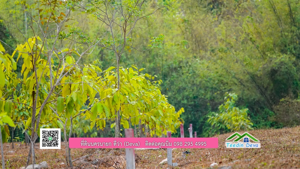 (🔴 ปิดการขาย) ที่ดินนครนายก วิวภูเขา เนี้อที่ 192.8 ตร.ว. ราคาเริ่มต้น 867,600 บาท ⭐ ทำเลแบบนี้ หาไม่ได้อีกแล้ว