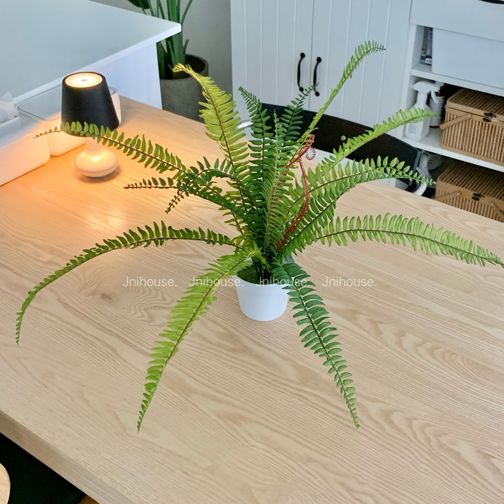 [พร้อมส่ง] Jnihouse : ต้นเฟิร์นบอสตัน ต้นไม้ประดิษฐ์ (Tree