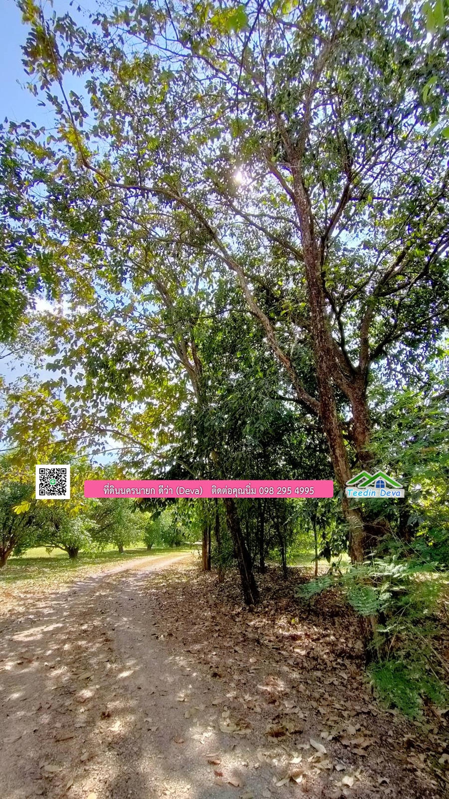 บ้านสวนผลไม้ ใกล้กับแหล่งท่องเที่ยว เจ้าของปลูกมะยงชิด ส้มโอ ต้นกฤษณา 20 ไร่ อยู่ติดถนนสายท่องเที่ยว สาริกา-นางรอง ต.สาริกา อ.เมือง จ.นครนายก