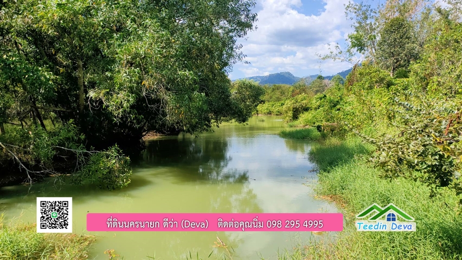 บ้านสวนผลไม้ ใกล้กับแหล่งท่องเที่ยว เจ้าของปลูกมะยงชิด ส้มโอ ต้นกฤษณา 20 ไร่ อยู่ติดถนนสายท่องเที่ยว สาริกา-นางรอง ต.สาริกา อ.เมือง จ.นครนายก