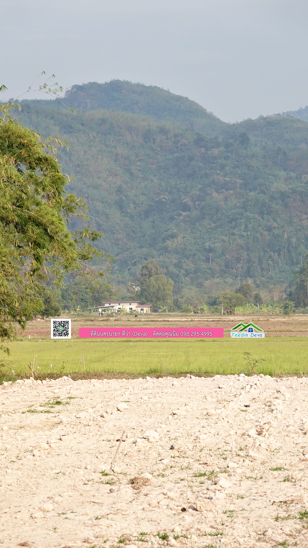 ที่ดินนครนายก วิวทุ่งนาต้นยางสวยๆ ขนาด 4 ไร่ ราคาไร่ละ 1.5 ล้าน ต.เขาเพิ่ม อ.บ้านนา จ.นครนายก