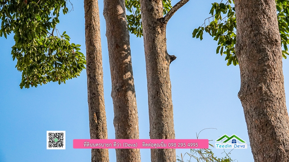 ที่ดินนครนายก วิวเขาพระ เขาใหญ่ ⭐ อยู่ใกล้แหล่งท่องเที่ยว เดินทางสะดวก ต.เขาพระ อ.เมือง จ.นครนายก