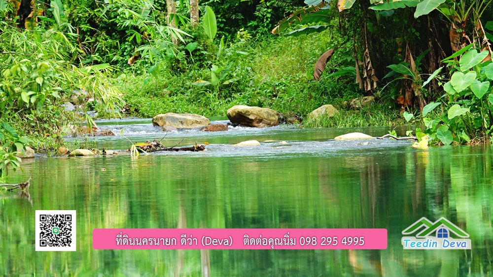ที่ดินนครนายก ติดลำธารสวยๆ ที่ดินแปลงสวย 6 ไร่ ทำเลดี ในอ้อมกอดของขุนเขา ด้านหลังติดลำธารธรรมชาติ
