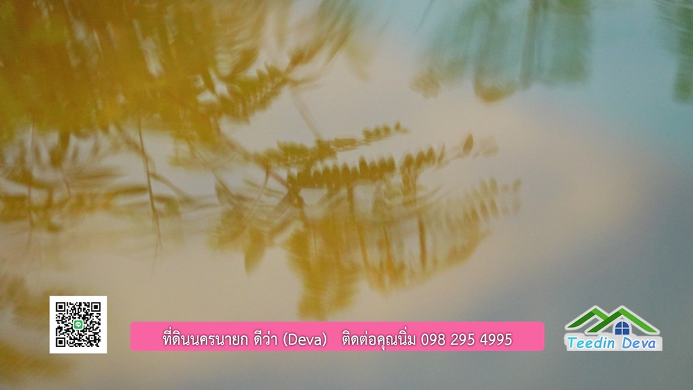 ที่ดินนครนายก ติดลำธารสวยๆ ที่ดินแปลงสวย 6 ไร่ ทำเลดี ในอ้อมกอดของขุนเขา ด้านหลังติดลำธารธรรมชาติ