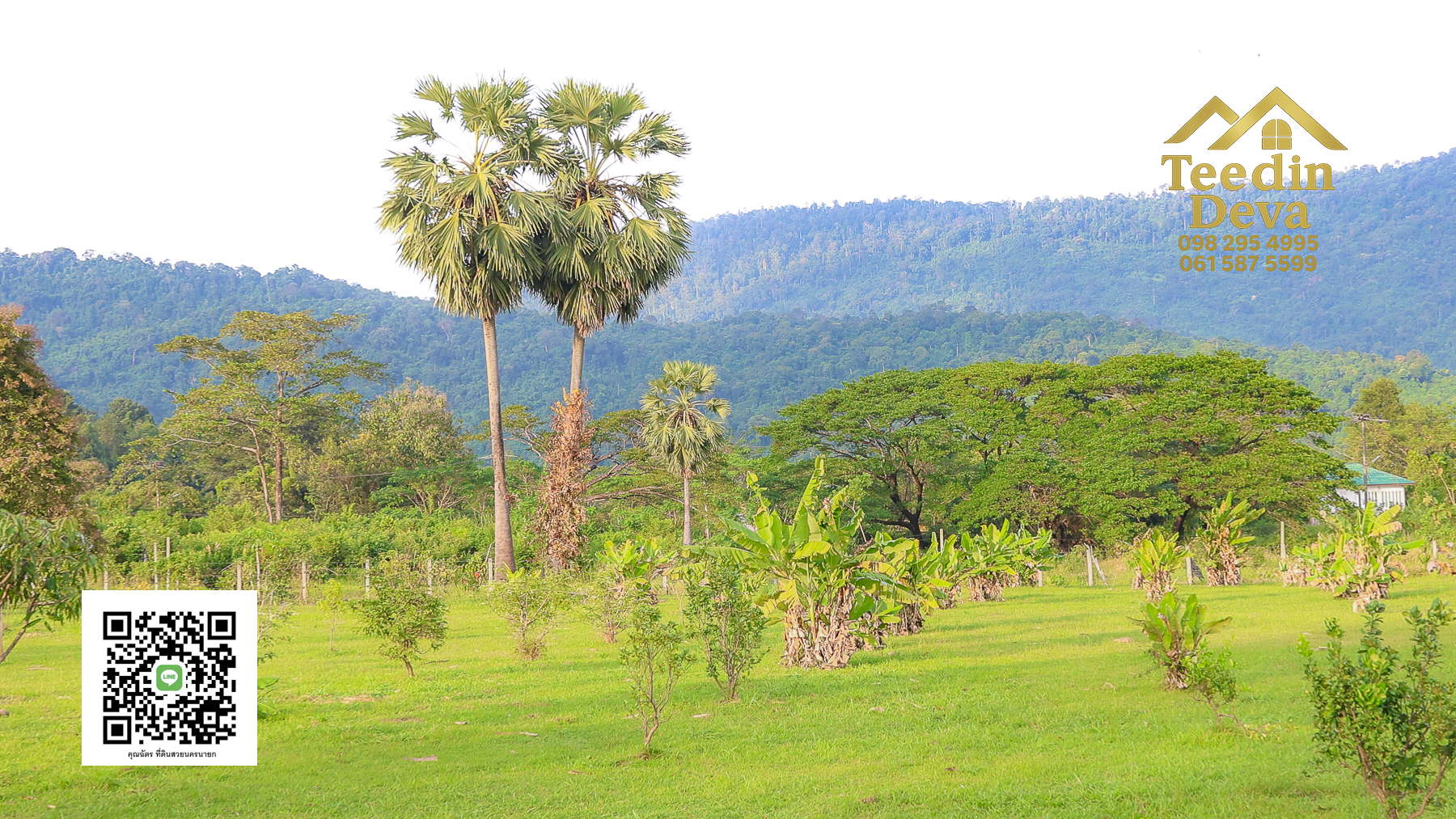 🌿 เริ่มต้นความสุขเล็ก ๆ ด้วยที่ดินแปลงสวย วิวเขา กลางธรรมชาติ ต.สาริกา อ.เมือง จ.นครนายก 💚