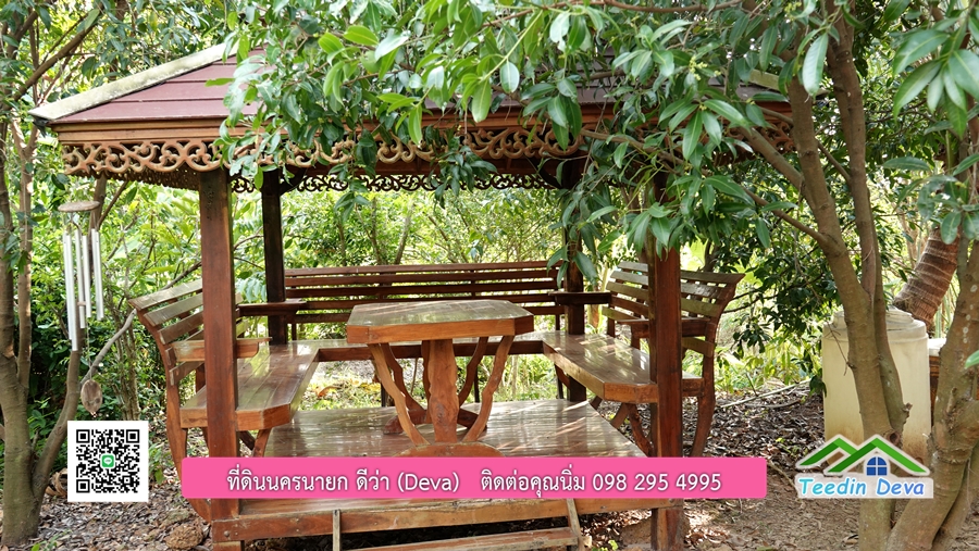 บ้านสวนผลไม้ สามารถเก็บผลผลิตได้เลย พื้นที่ 2 ไร่ 1 งาน อ.ปากพลี จ.นครนายก