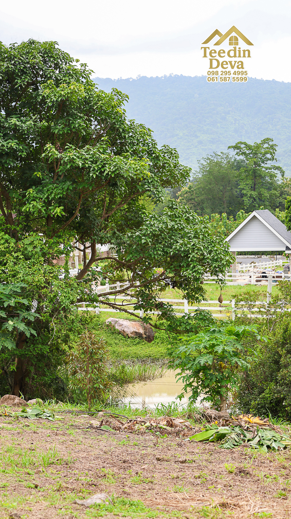 ที่ดินติดภูเขา เนินสวย พร้อมพัฒนารีสอร์ทหรือพูลวิลล่า 1 ไร่ ต.เขาพระ อ.เมือง จ.นครนายก 🏡