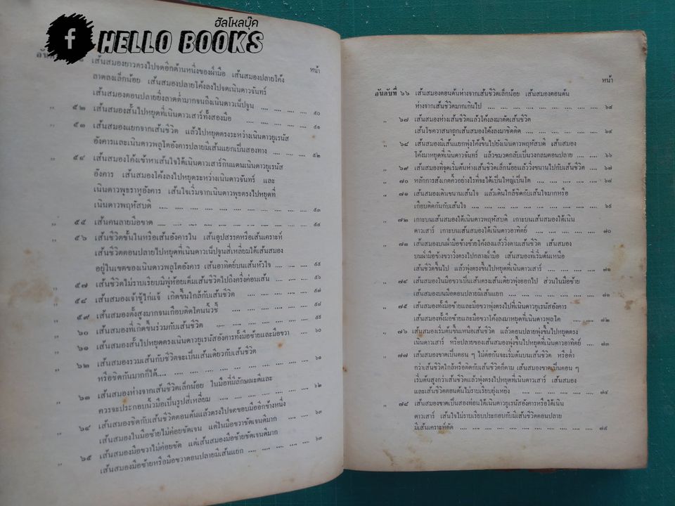 ฝ่ามือ-ฝ่าชีวิต