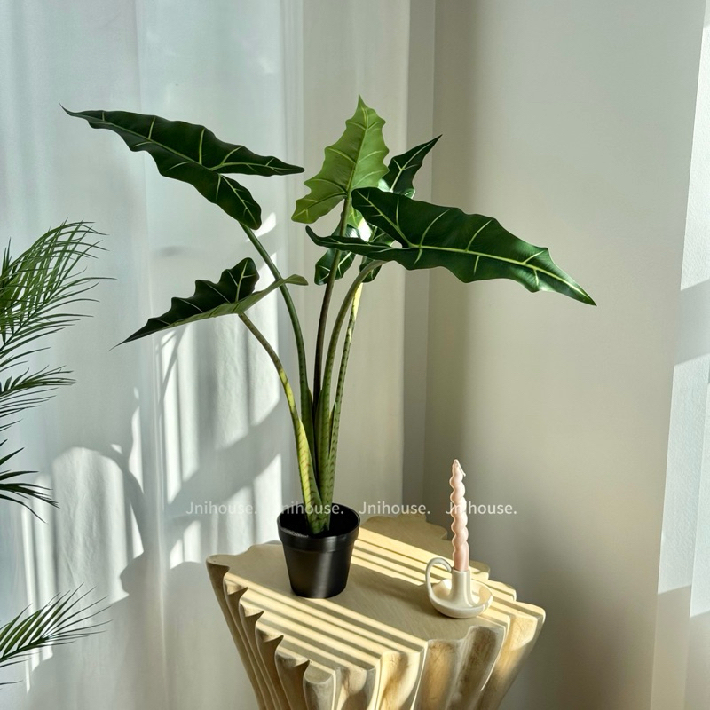 [พร้อมส่ง] Jnihouse : ต้นไม้ประดิษฐ์อโลคาเซีย หูช้าง (Artificial Alocasia Sarian Potted)(Tree)