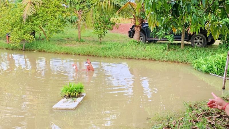 ที่ดินนครนายก บ้านสวนผลไม้ พื้นที่ 1 ไร่ 1 งาน ติดคลองส่งน้ำ ปลูกผลไม้หลากหลาย อ.ปากพลี จ.นครนายก