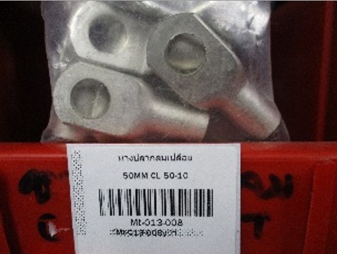 หางปลากลมเปลือย 5.5-8 (6-8)