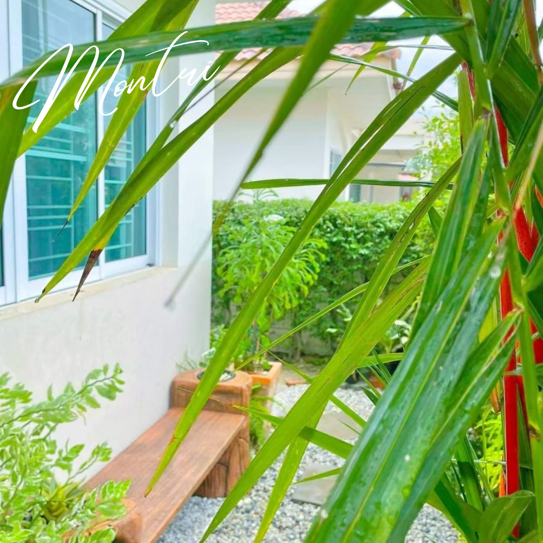 เก้าอี้สนามปูนลายไม้ 2in1 เก้าอี้กระถางต้นไม้ งาน DIY ทำจากปูนปั้นสด เสมือนไม้จริง ดูเป็นธรรมชาต ปัดสีด้วยมือสุดปราณีต