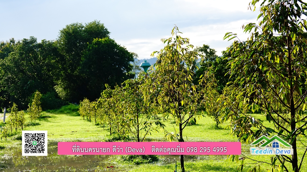 (ðī āļāļīāļāļāļēāļĢāļāļēāļĒ) āļāļĩāđāļāļīāļāļāļāļĢāļāļēāļĒāļ āļāļīāļāļĨāļģāļāļēāļĢ āļāļĨāļđāļāļāļĨāđāļĄāđ 8 āđāļĢāđ 2 āļāļēāļ āļ.āļŠāļēāļĢāļīāļāļē āļ.āđāļĄāļ·āļāļ āļ.āļāļāļĢāļāļēāļĒāļ