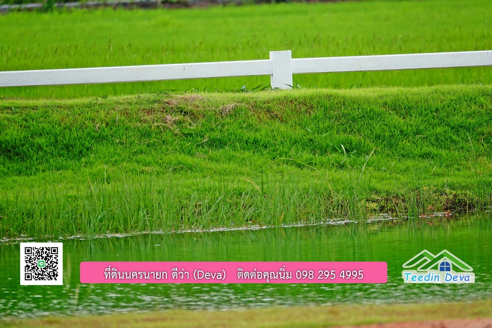 ที่ดินนครนายก โครงการ Mountain 3 อ.บ้านนา จ.นครนายก