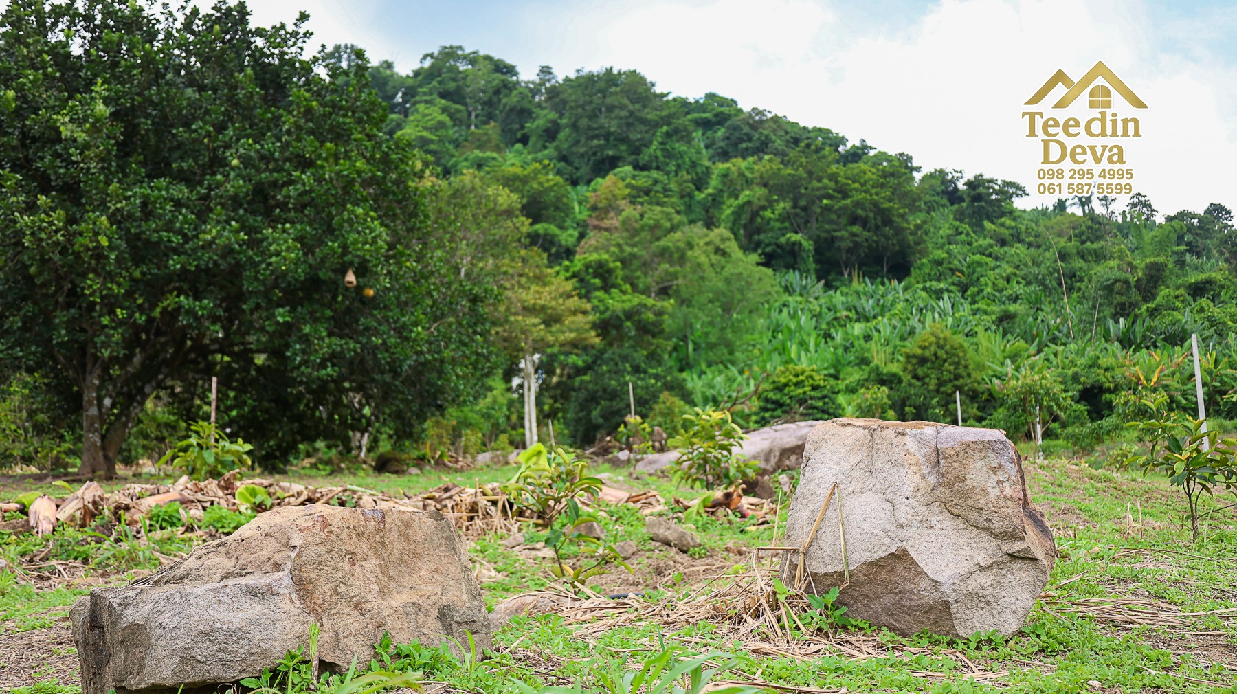 ที่ดินติดภูเขา เนินสวย พร้อมพัฒนารีสอร์ทหรือพูลวิลล่า 1 ไร่ ต.เขาพระ อ.เมือง จ.นครนายก 🏡