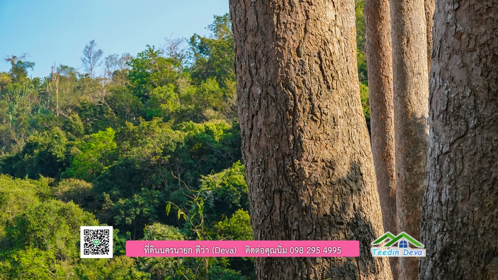 ที่ดินนครนายก วิวเขาพระ เขาใหญ่ ⭐ อยู่ใกล้แหล่งท่องเที่ยว เดินทางสะดวก ต.เขาพระ อ.เมือง จ.นครนายก