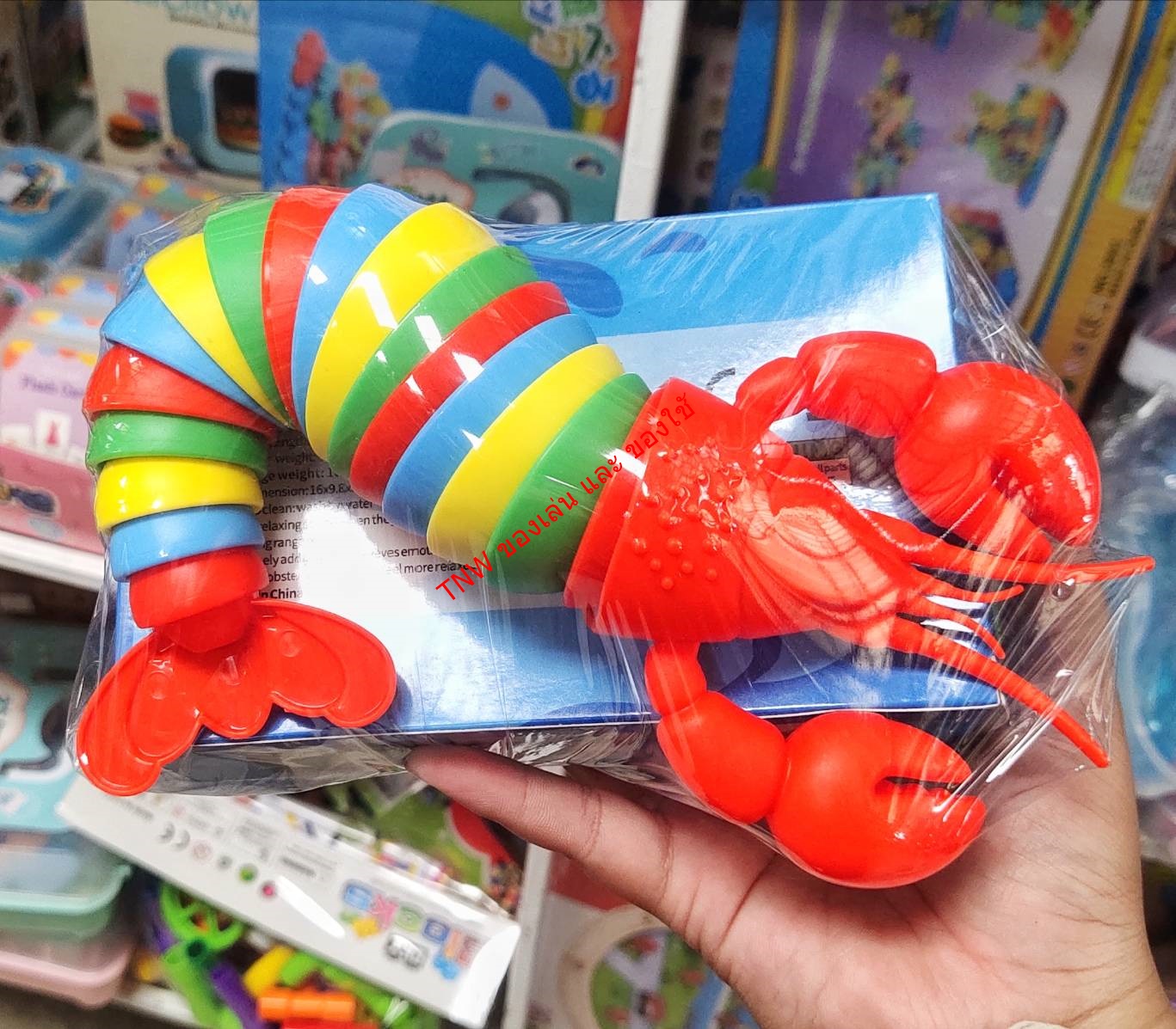 ของเล่นก้ามหมุน มีความยืดหยุ่น สำหรับเด็ก ของเล่นไม่เครียด ขิงเล่นสำหรับเด็ก