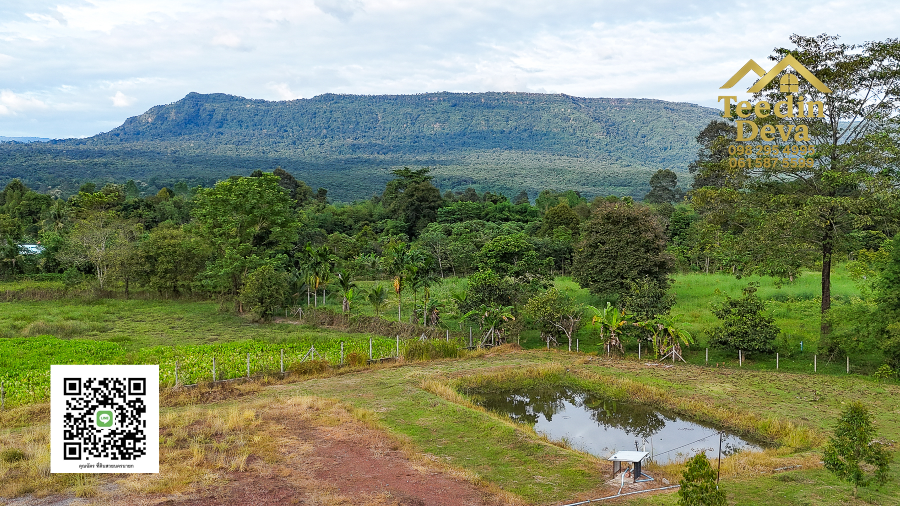 💭 ตื่นเช้าลมเย็น เห็นเขาใหญ่ตรงหน้า... ที่ดินสวนผลไม้ 2 ไร่ 3 งาน ต.นาหินลาด อ.ปากพลี จ.นครนายก