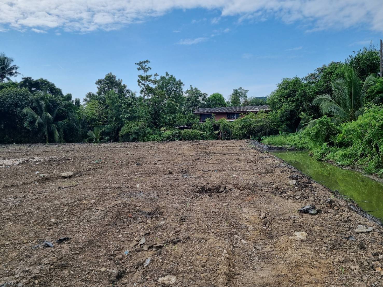 ให้เช่าที่ดิน 300วา พระราม2 ซอยอนามัยงามเจริญ 33 เพียง 12,000/เดือน (N.305)