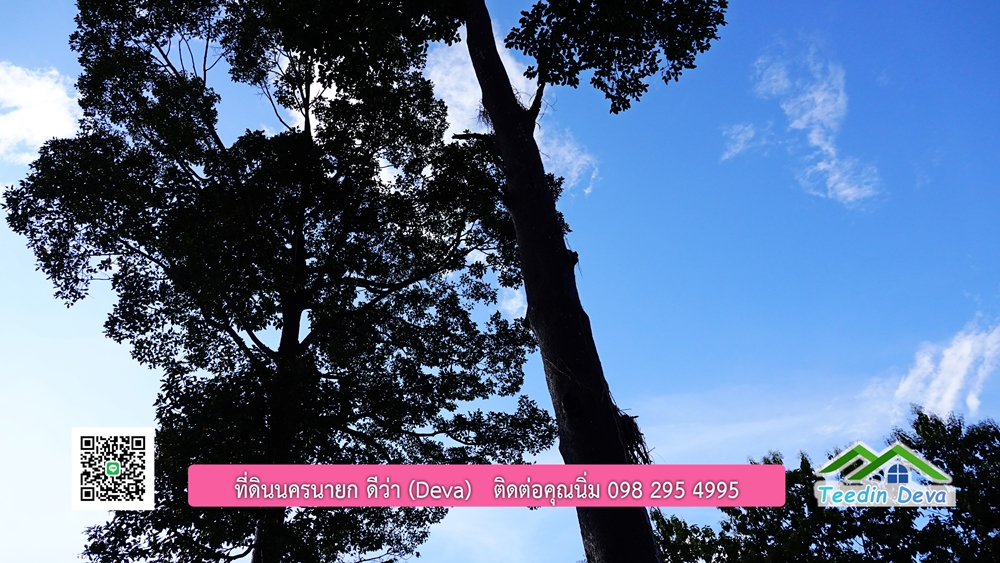 (ðī āļāļīāļāļāļēāļĢāļāļēāļĒ) āļāļĩāđāļāļīāļāļāļāļĢāļāļēāļĒāļ āļāļīāļāļĨāļģāļāļēāļĢ āļāļĨāļđāļāļāļĨāđāļĄāđ 8 āđāļĢāđ 2 āļāļēāļ āļ.āļŠāļēāļĢāļīāļāļē āļ.āđāļĄāļ·āļāļ āļ.āļāļāļĢāļāļēāļĒāļ