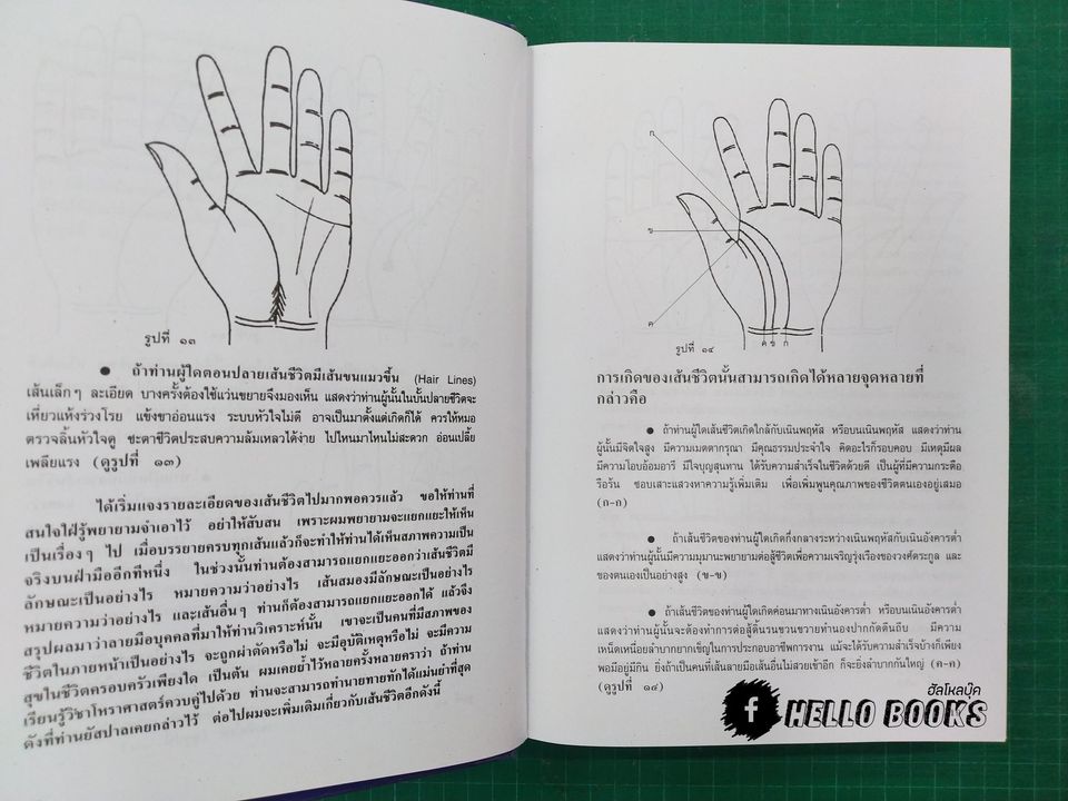 ลายมือลายแทงชีวิต