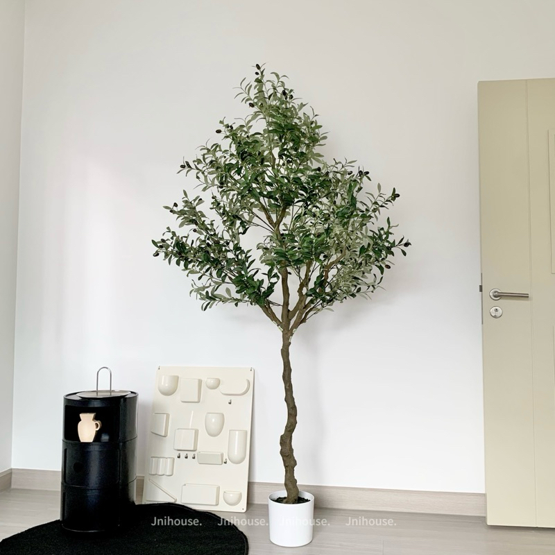[พร้อมส่ง] Jnihouse : ต้นมะกอกประดิษฐ์สูง 210 cm (Artificial Olive tree)