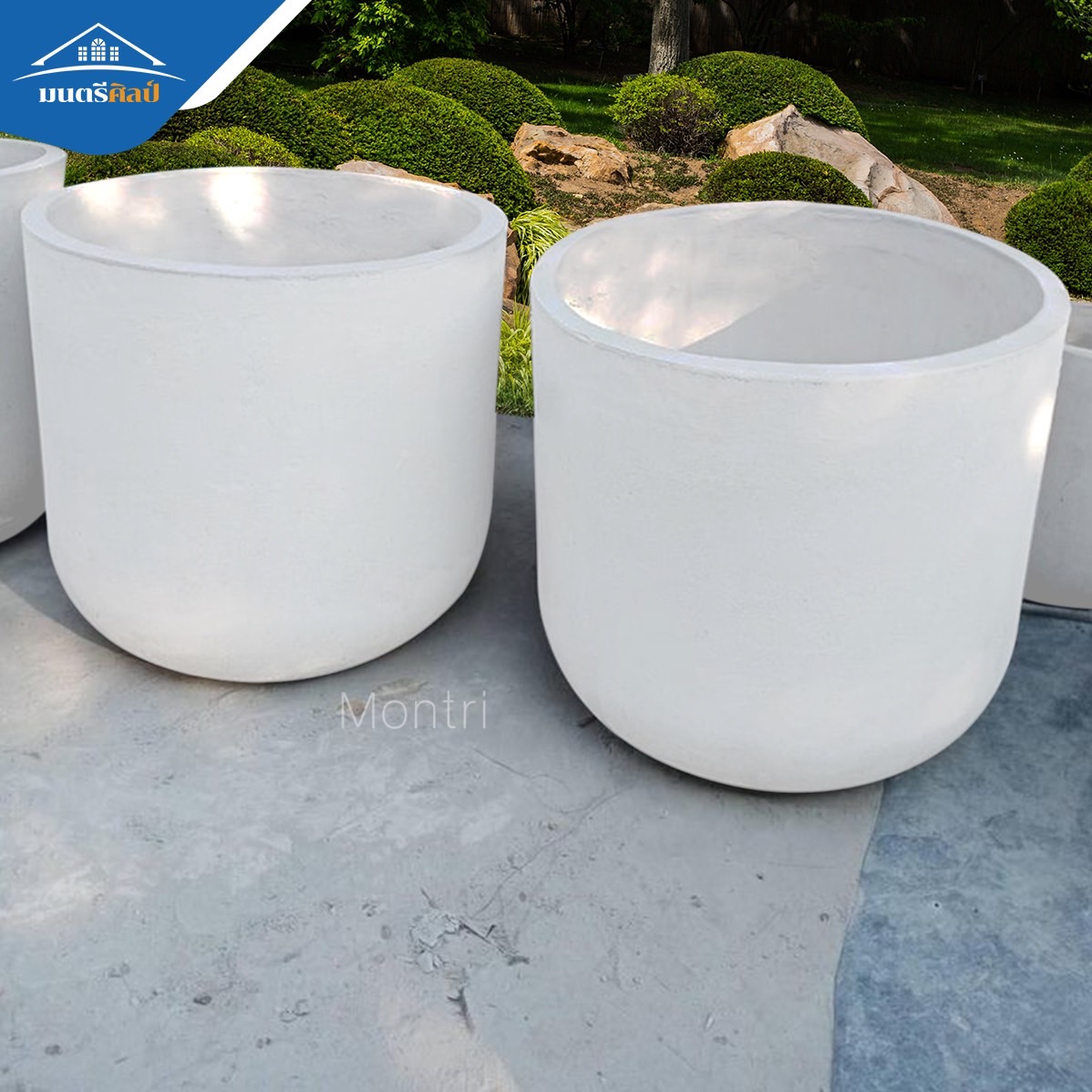 กระถางปูนใหญ่ กระถางมินิมอล พิเศษขนาดใหญ่พิเศษ 80x80 cm หายากในท้องตลาด ตอบโจทย์สำหรับต้นไม้ใหญ่และรากลึก