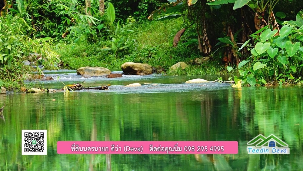 ที่ดินนครนายก ติดลำธารสวยๆ ที่ดินแปลงสวย 6 ไร่ ทำเลดี ในอ้อมกอดของขุนเขา ด้านหลังติดลำธารธรรมชาติ