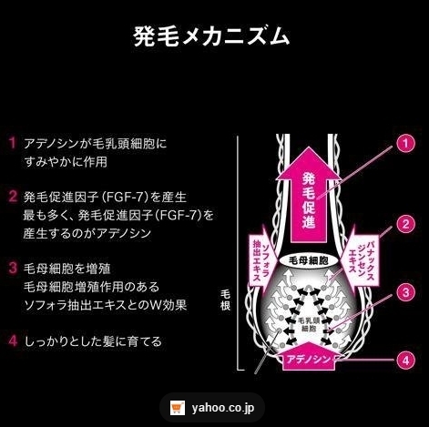 Shiseido Adenogen EX Hair Growth 50 ml ปลูกผม เร่งผมหนาผมยาว