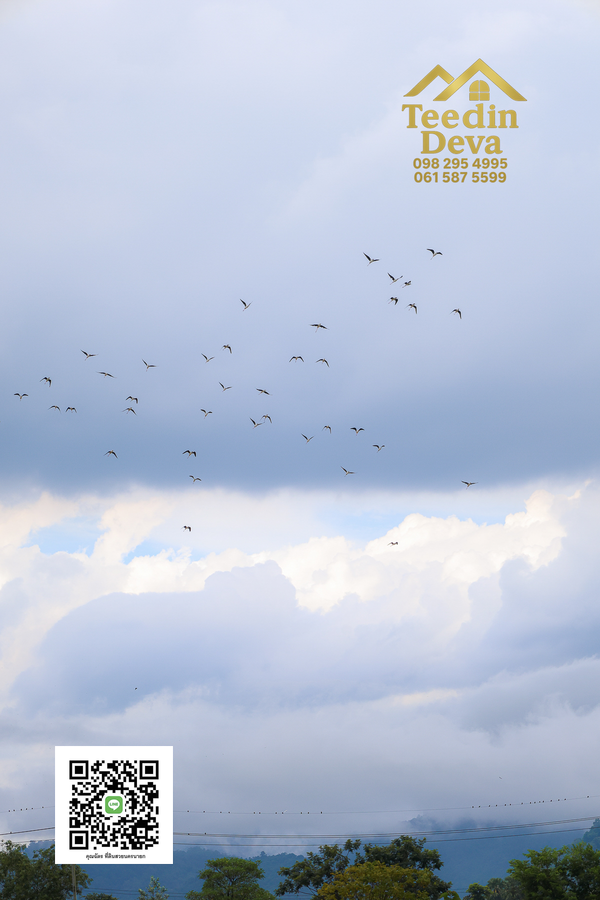 🏡✨ ที่ดินวิวภูเขา โอบด้วยธรรมชาติ…พักใจได้ทุกวัน 🌿 100 ตรว ต.เขาพระ อ.เมือง จ.นครนายก