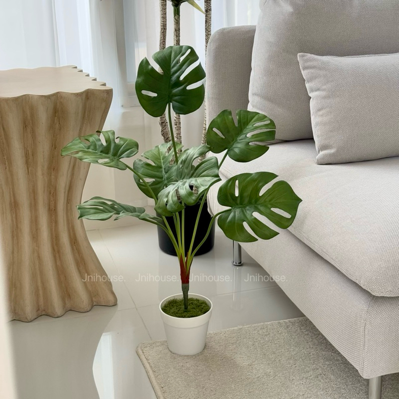[พร้อมส่ง] Jnihouse : ต้นมอนสเตร่าประดิษฐ์กระถางขาว (Monstera Plant)(Tree)