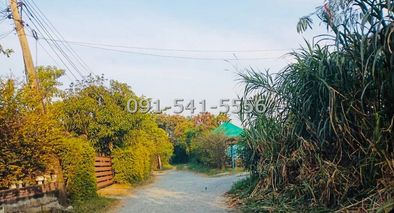 ขายที่ดิน 99 ตรว รามอินทรา 47 แยก 6 พื้นที่สีเหลือง การเดินทางสะดวก ใกล้รถไฟฟ้าสายสีชมพู เหมาะกับการสร้างเป็นที่อยู่อาศัย