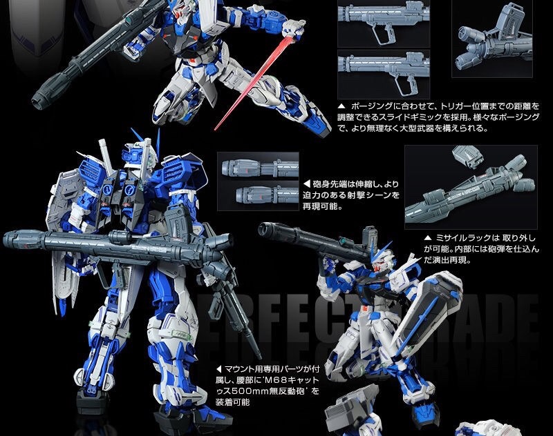 (PG) 1/60 GUNDAM ASTRAY BLUE FRAME (Premium Bandai)