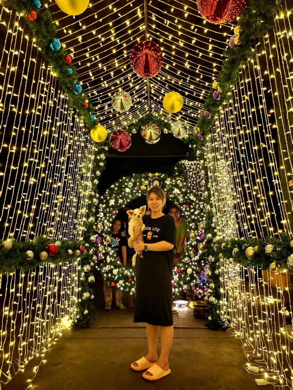 ให้เช่าซุ้มอุโมงค์ไฟประดับ "งานเลี้ยงคริสต์มาส"