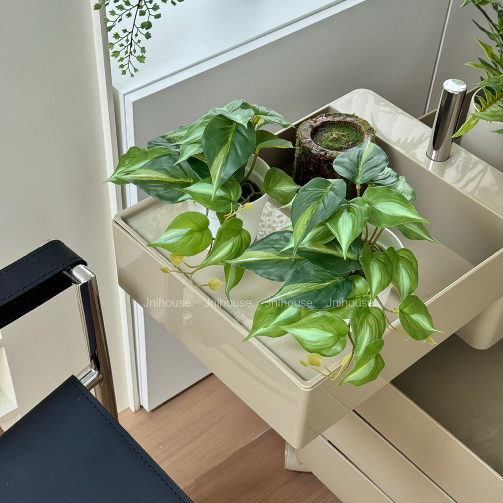 [พร้อมส่ง] Jnihouse : ต้นพลูด่างประดิษฐ์+กระถางพลาสติกขาว