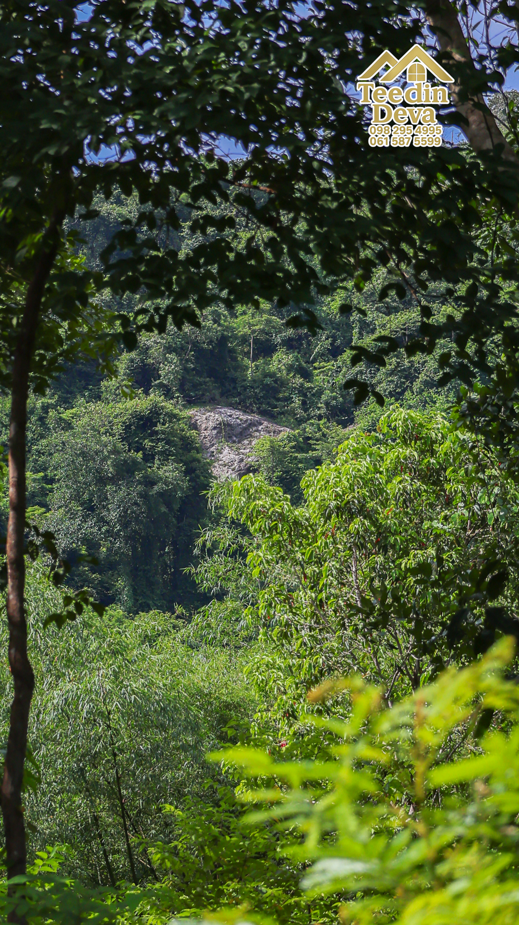 🏞️ “ผืนธรรมชาติกลางหุบเขา” 12 ไร่ 2 งาน 93.3 ตร.วา – ต.สาริกา อ.เมือง จ.นครนายก 🌳