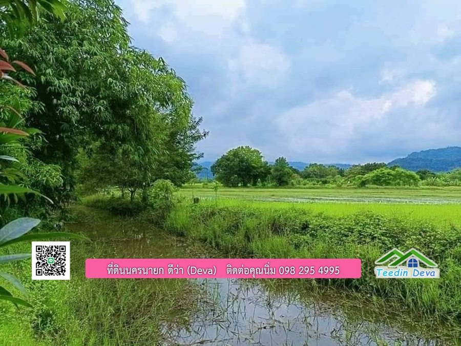 บ้านสวนผลไม้ สามารถเก็บผลผลิตได้เลย พื้นที่ 2 ไร่ 1 งาน อ.ปากพลี จ.นครนายก