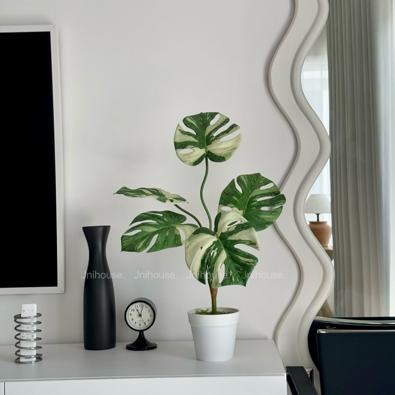 [พร้อมส่ง] Jnihouse : ต้นมอนสเตร่าประดิษฐ์กระถางขาว (Monstera Plant)(Tree)