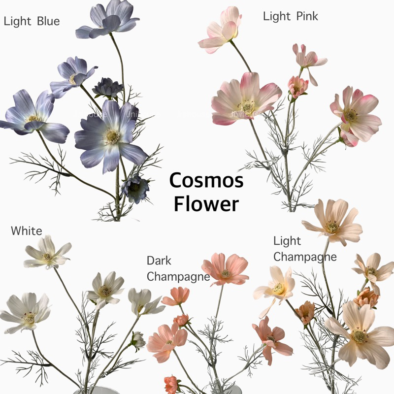 [พร้อมส่ง] Jnihouse : ดอกคอสมอส ดอกไม้ประดิษฐ์ (Cosmos Flower)