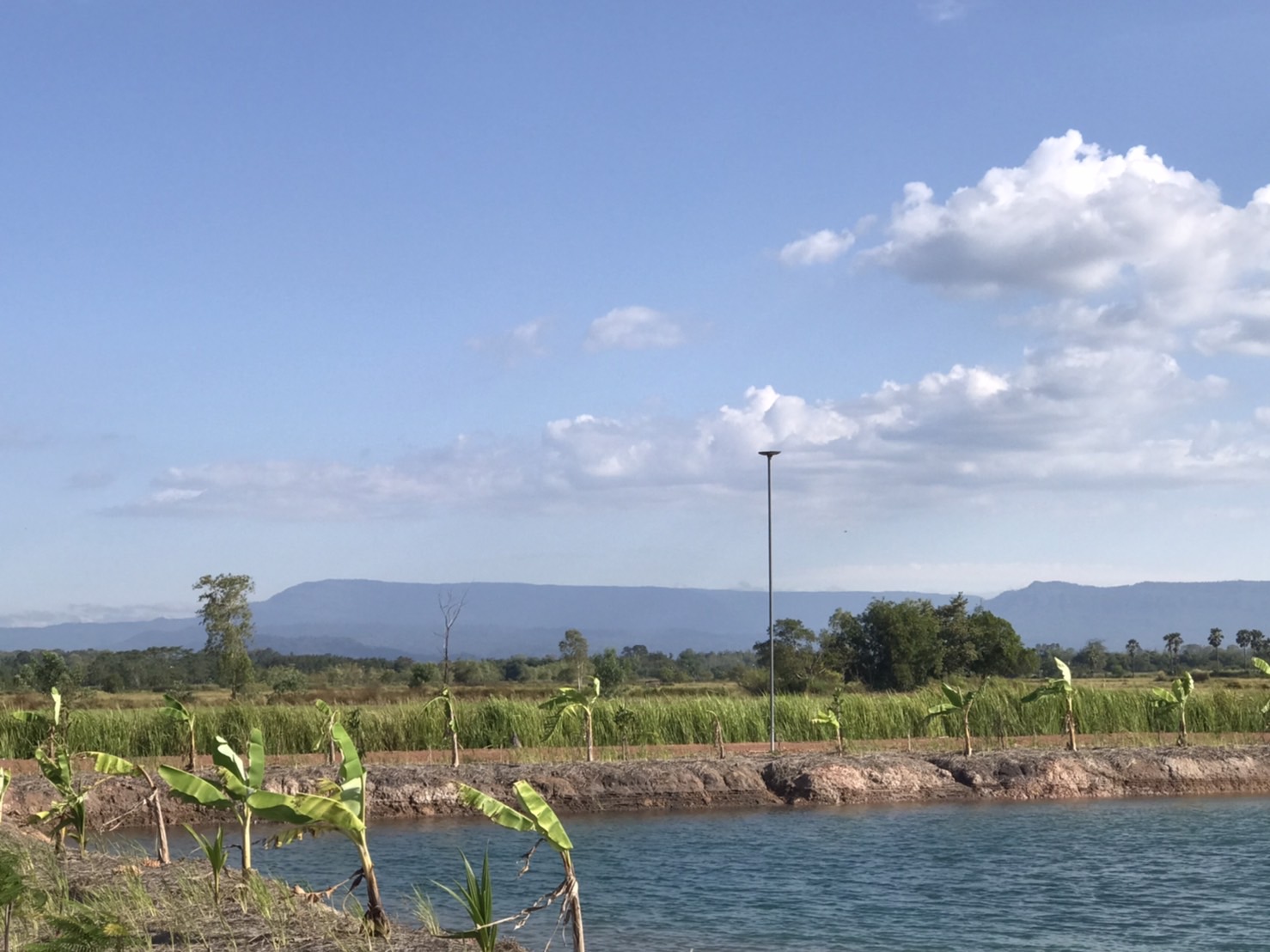 🍃 ความสุขแบบพอเพียง... เริ่มได้ที่นี่ ที่ดิน 2 ไร่ เหมาะทำสวนเกษตร อ.ปากพลี จ.นครนายก