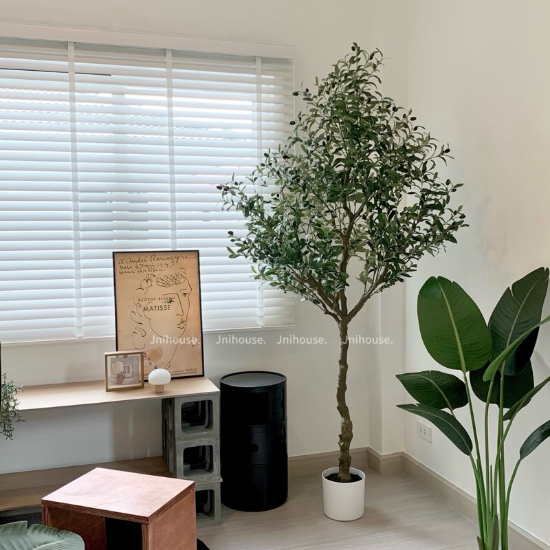 [พร้อมส่ง] Jnihouse : ต้นมะกอกประดิษฐ์สูง 210 cm (Artificial Olive tree)